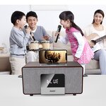 Karaoke System Supplier - OEM RHM Home Karaoke with Wireless Mics