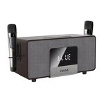 Karaoke System Supplier - OEM RHM Home Karaoke with Wireless Mics