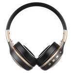 Wireless Headphones Manufacturer - OEM Zealot B19 with FM Radio