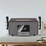 Karaoke System Supplier - OEM RHM Home Karaoke with Wireless Mics