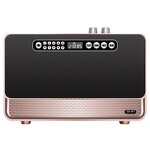 Wood Radio Factory - OEM Retro 30W Vintage Wireless Speaker