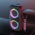 Portable Party Box Factory - OEM 80W with Subwoofer Heavy Bass