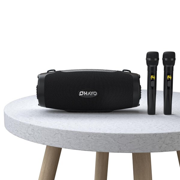 Portable Sound Speaker Factory - OEM OHAYO M8 100W with Wireless Mic