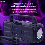 Outdoor Speaker Factory - OEM Zealot P2 Big Solar 40W Wireless