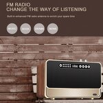 Wood Radio Factory - OEM Retro 30W Vintage Wireless Speaker