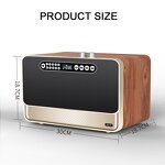 Wood Radio Factory - OEM Retro 30W Vintage Wireless Speaker