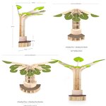 Tree Bookshelf Factory - Modern Preschool Furniture for Kindergarten Library
