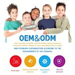 Indoor Playground Factory - Montessori Wooden for Kindergarten Safe Climbing Areas