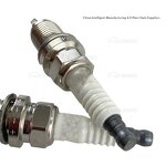 Spark Plug Manufacturer - OEM 90919-01192 for Toyota Corolla