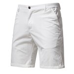 Men's Shorts Factory - Summer Cotton Luxury Casual Business Beach