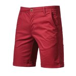 Men's Shorts Factory - Summer Cotton Luxury Casual Business Beach