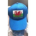 Baseball Cap Supplier - OEM High Quality Cotton 6-piece Heat Transfer