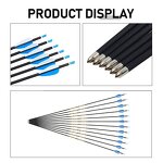 Mixed Carbon Arrow Factory - 6 mm 30 Inch Shaft Fixed Tips Plastic Vanes