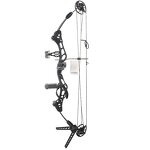 Compound Pulley Bow Factory - 50lbs Metal Riser Right Hand Target Arrows