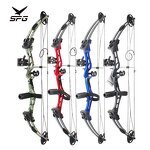 Compound Pulley Bow Factory - 50lbs Metal Riser Right Hand Target Arrows