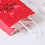 Paper Bag Factory - OEM Custom Personalized Printed LOGO Mini