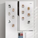 Fridge Magnet Factory - Manufacturer Crystal Glass Dome Cabochon Souvenir Magnet