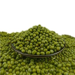 批发100%天然绿色绿豆Vigna豆干产品从中国买家散装包装