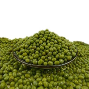 Wholesale 100% Natural Green Mung Beans Vigna Beans Dried Products From China Buyers in Bulk Packaging