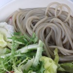 Farm-Direct Excellence  Premium Quality Organic Green Mung Bean Spaghetti