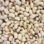 热卖有机干豇豆Vigna豆和芸豆散装包装出售黑眼豆和白眼豆