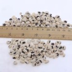 热卖有机干豇豆Vigna豆和芸豆散装包装出售黑眼豆和白眼豆