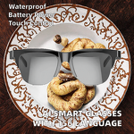 Smart Glasses Factory - OEM/ODM Custom UV Protected Gaming Fashion Glasses Dual Lenses