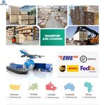 Sheet Former Factory - OEM/ODM Custom Stainless Steel Rapid-kothen Sheet Former with Stop Anti-oil Return