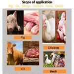 Moisture Analyzer Factory - OEM/ODM Custom Industrial Laboratory Meat Moisture Analyzer for Chicken Fish