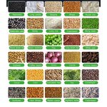 Grain Moisture Meter Manufacturer - OEM/ODM Custom Pro Portable Grain Paddy Auto Temperature Adjust Seed Moisture Meter