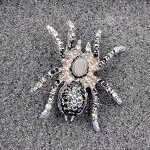 Spider Brooch Manufacturer - Cross-border Retro Rhinestone Fashionable High-end Men's Suit