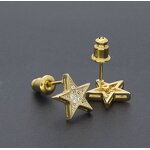 925 Silver Earrings Factory - Ancient Cute Hip-hop Various Styles Cool Personalized Men's Women's