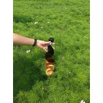 Brazilian Curly Hair Manufacturer - OEM/ODM Custom Brazilian Curly Virgin Kinky Human Hair Weave Bundle