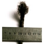 Crochet Hair Extension Manufacturer - OEM/ODM Custom Dreadlocks Human Hair Natural Black Ombre Color Crochet