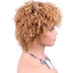 Human Hair Wig Manufacturer - OEM/ODM Custom Kinky Curly Pixie Cut Natural Human Hair Wig