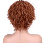 Human Hair Wig Manufacturer - OEM/ODM Custom Kinky Curly Pixie Cut Natural Human Hair Wig