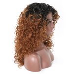 Lace Front Wig Manufacturer - OEM/ODM Custom Synthetic Ladies Hair Wigs Lace Front Afro Kinky Curly Box Braids