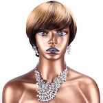 Brazilian Human Hair Wig Factory - OEM/ODM Custom Ombre Color Golden Straight Brazilian Human Hair Wig