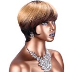 Brazilian Human Hair Wig Factory - OEM/ODM Custom Ombre Color Golden Straight Brazilian Human Hair Wig