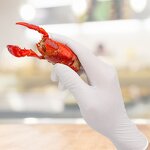 Nitrile Gloves Manufacturer - OEM/ODM Custom 100 PCS Box Food Grade Disposable Nitrile Gloves Powder Free