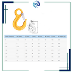 Eye Hook Factory - EN1677 Standard G80 Forged Safety Latch Alloy Steel with Spring Lifting