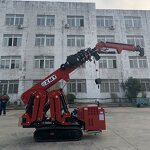 Spider Crane Factory - OEM/ODM Custom Factory Supply Fly Jib Mini 3 Ton Spider Crane for Construction