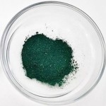 批发抗衰老藻类剥皮胶原蛋白紧致血清粉面部毛孔最小化海绵针状生物血清