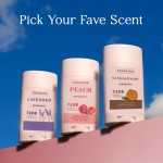 Body Armpit Odor Remover Stick Coconut Natural Anti-perspiring Deodorant Antiperspirant Deodorant Stick for Men Women