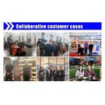 Electric Forklift Truck Factory - Top Factory Advanced Lithium Battery 3-5 Ton Capacity Long Lifespan Hydraulic