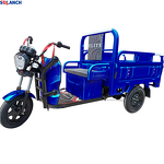 Electric Cargo Tricycle Factory - Direct Factory Production with 60v20ah Battery Remote Control Motorized