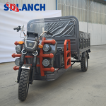 Electric Cargo Tricycle Factory - Direct Factory Production with 60v20ah Battery Remote Control Motorized