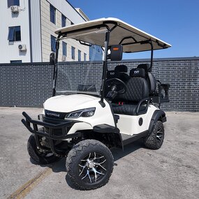 Golf Cart Factory - Newest Self-Designed 4-Seater 2+2 Utility Electric