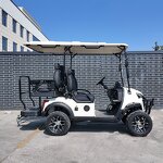 Golf Cart Manufacturer - 4 Passenger Electric Sightseeing Utility Vehicle Road Legal