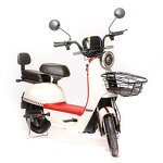 Electric Scooter Manufacturer - Hot Sale 500w 6tubes Controllers for Adults